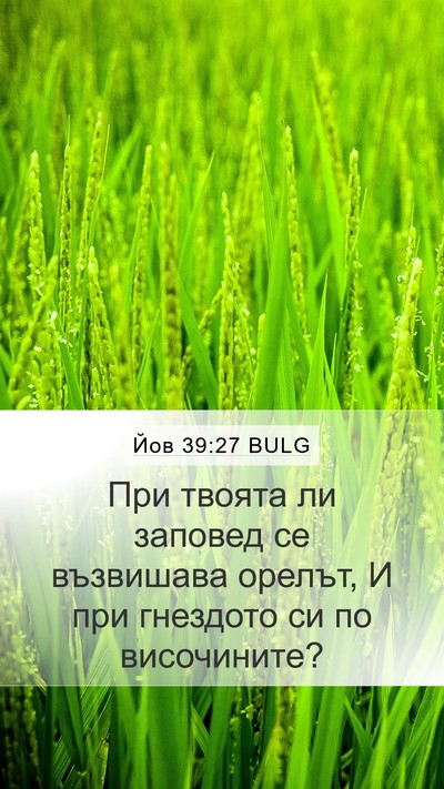 Йов 39:27 BULG Bible Verse Image