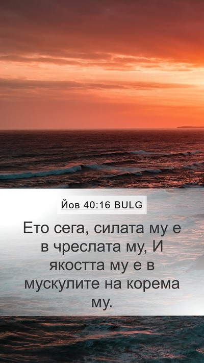 Йов 40:16 BULG Mobile Phone Wallpaper - Ето сега, силата му е в - Mobile Bible Verse Wallpaper
