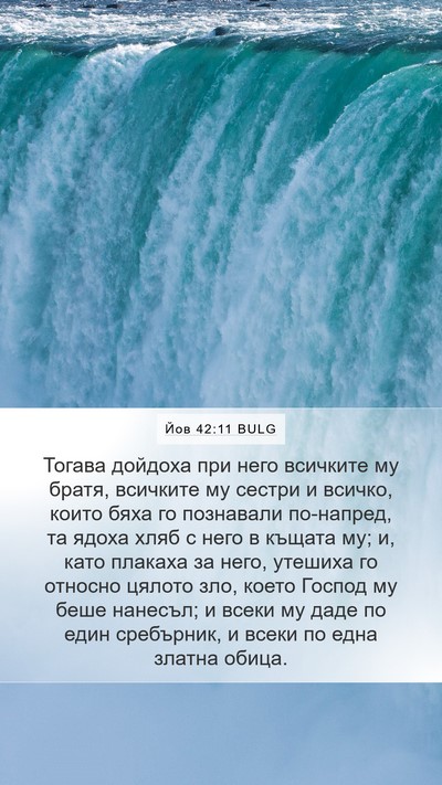 Йов 42:11 BULG Bible Verse Image