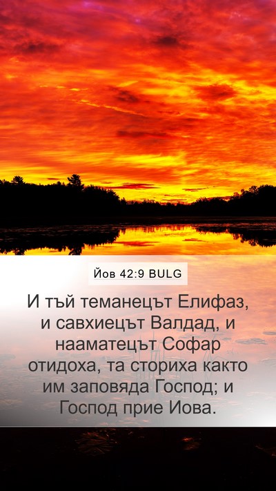 Йов 42:9 BULG Bible Verse Image
