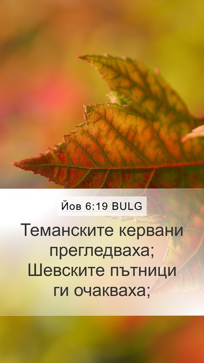 Йов 6:19 BULG Bible Verse Image