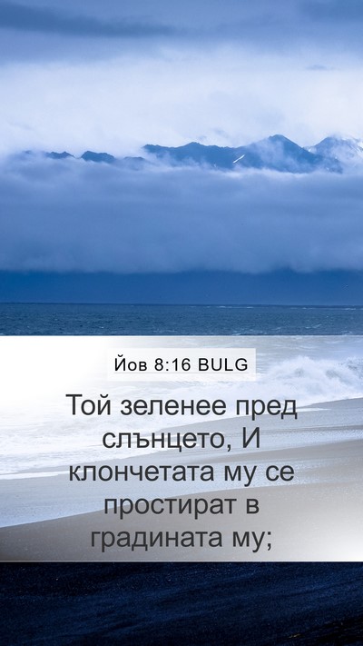 Йов 8:16 BULG Bible Verse Image