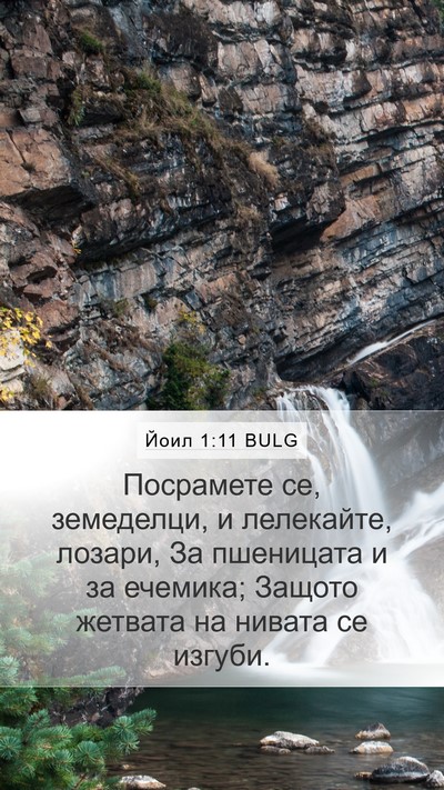 Йоил 1:11 BULG Bible Verse Image