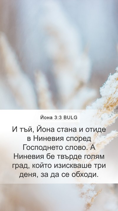 Йона 3:3 BULG Bible Verse Image