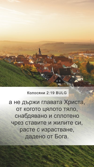 Колосяни 2:19 BULG Bible Verse Image