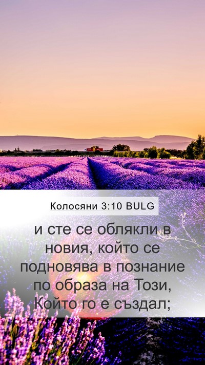 Колосяни 3:10 BULG Bible Verse Image