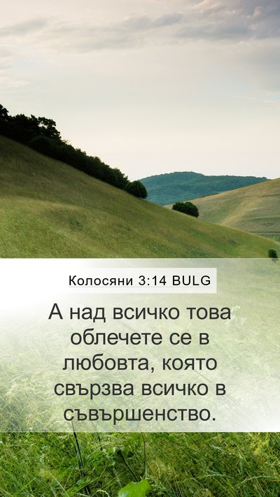 Колосяни 3:14 BULG Bible Verse Image