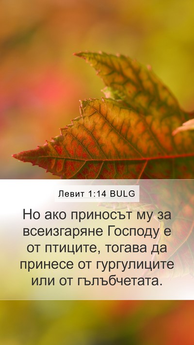Левит 1:14 BULG Bible Verse Image