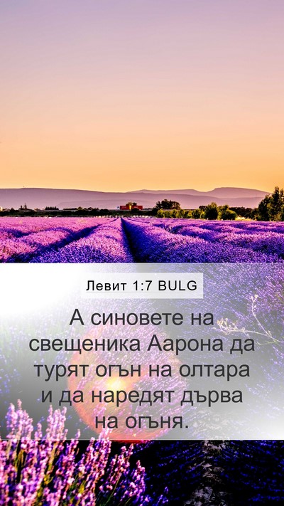Левит 1:7 BULG Mobile Phone Wallpaper - А синовете на свещеника - Mobile Bible Verse Wallpaper