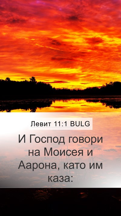 Левит 11:1 BULG Bible Verse Image