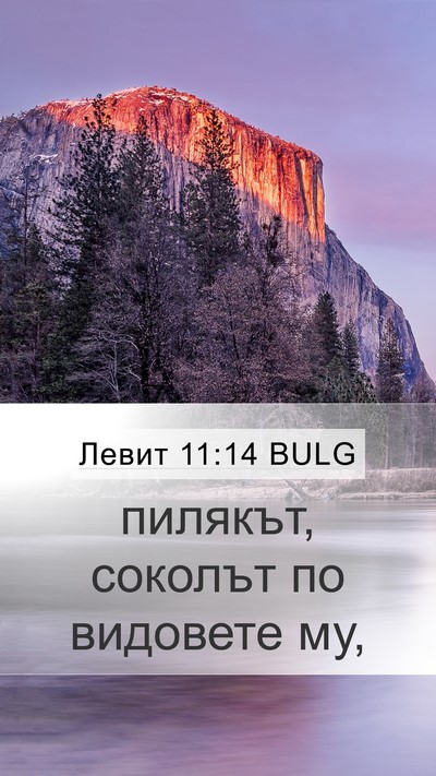 Левит 11:14 BULG Mobile Phone Wallpaper - пилякът, соколът по - Mobile Bible Verse Wallpaper