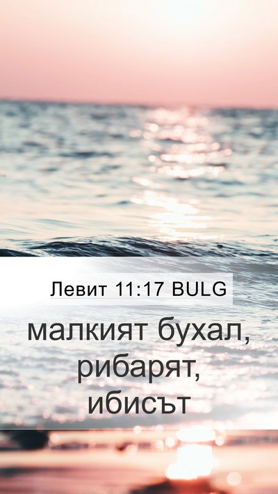 Левит 11:17 BULG Mobile Phone Wallpaper - малкият бухал, рибарят, - Mobile Bible Verse Wallpaper