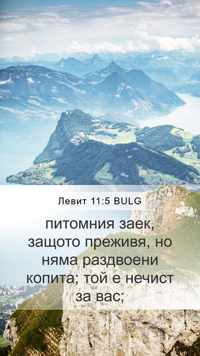 Левит 11:5 BULG Bible Verse Image