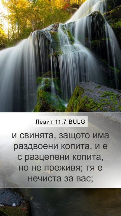 Левит 11:7 BULG Bible Verse Image