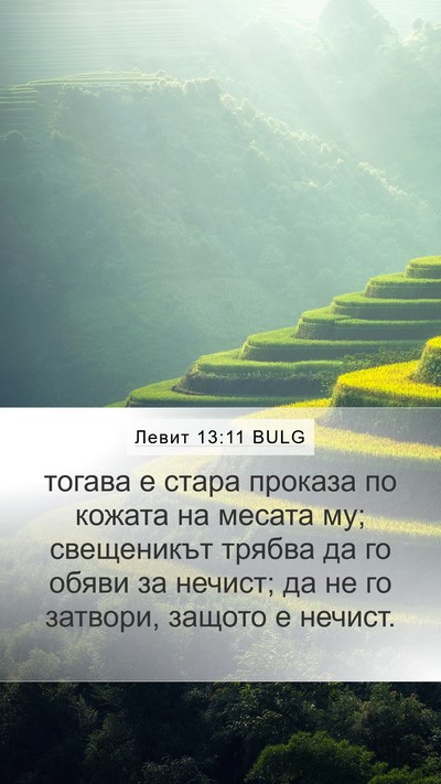 Левит 13:11 BULG Mobile Phone Wallpaper - тогава е стара проказа по - Mobile Bible Verse Wallpaper