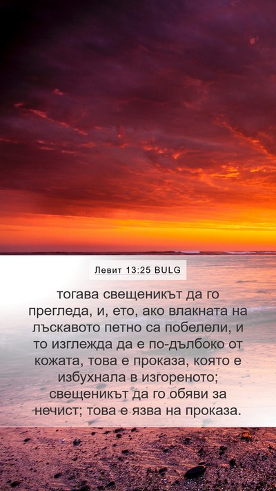 Левит 13:25 BULG Mobile Phone Wallpaper - тогава свещеникът да го - Mobile Bible Verse Wallpaper
