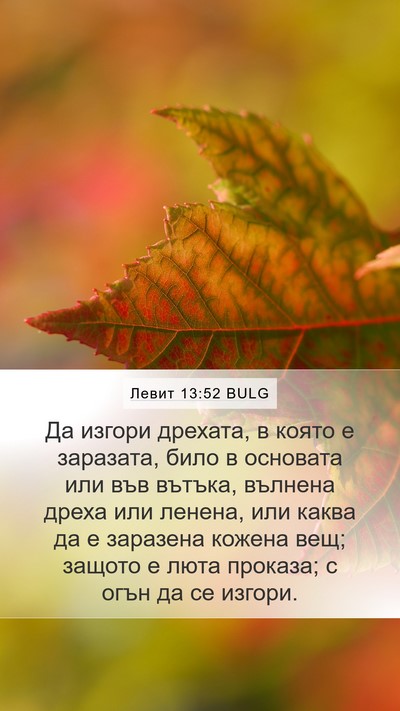 Левит 13:52 BULG Mobile Phone Wallpaper - Да изгори дрехата, в която - Mobile Bible Verse Wallpaper