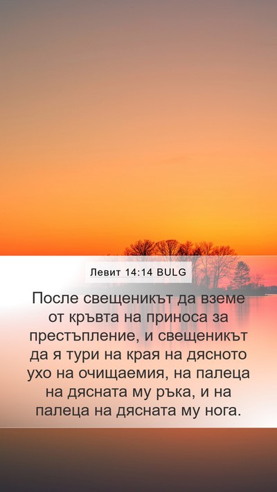 Левит 14:14 BULG Bible Verse Image