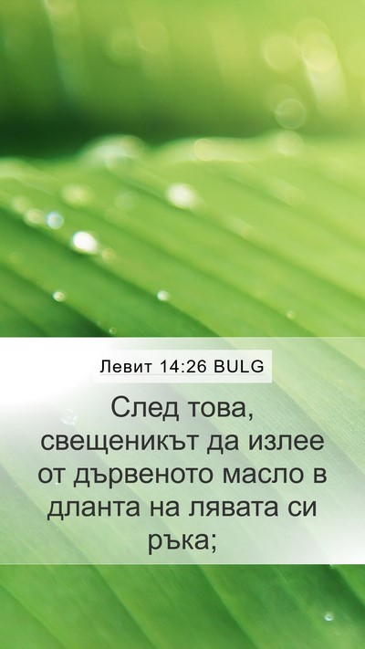 Левит 14:26 BULG Mobile Phone Wallpaper - След това, свещеникът да - Mobile Bible Verse Wallpaper