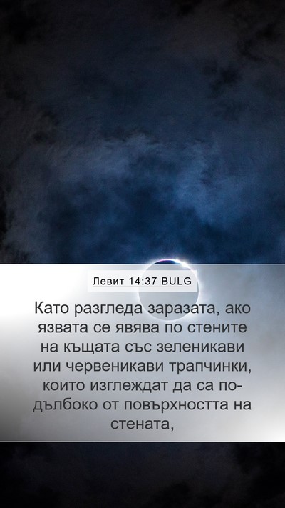 Левит 14:37 BULG Mobile Phone Wallpaper - Като разгледа заразата, - Mobile Bible Verse Wallpaper
