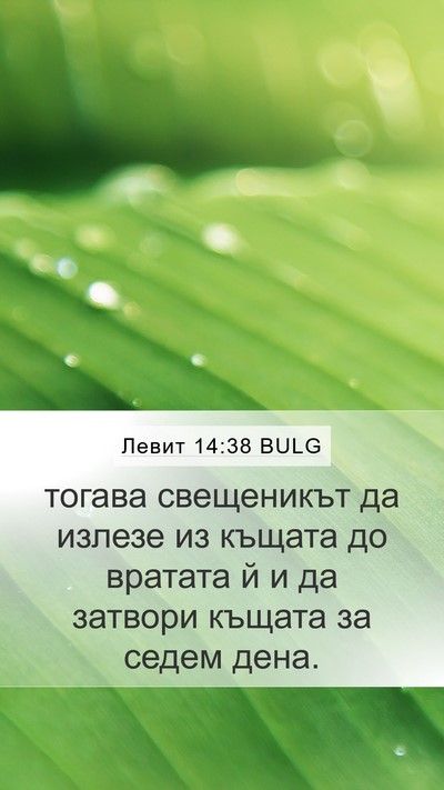 Левит 14:38 BULG Mobile Phone Wallpaper - тогава свещеникът да - Mobile Bible Verse Wallpaper
