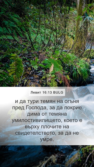 Левит 16:13 BULG Mobile Phone Wallpaper - и да тури темян на огъня - Mobile Bible Verse Wallpaper