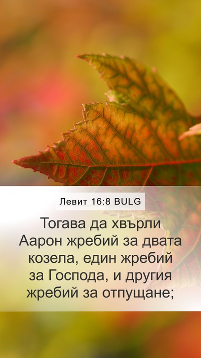Левит 16:8 BULG Bible Verse Image