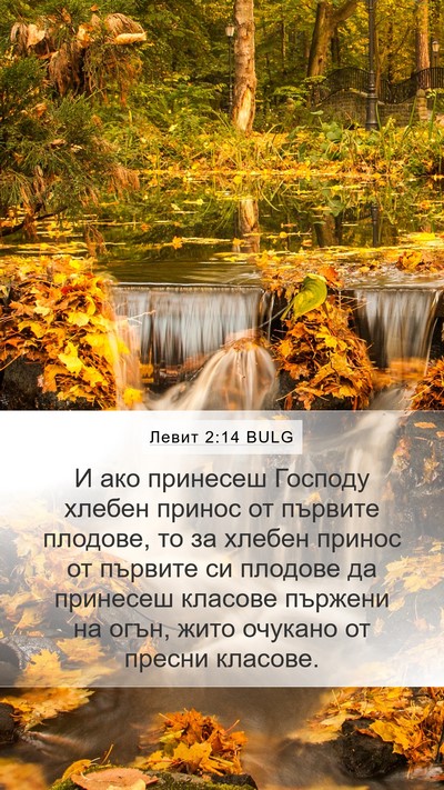 Левит 2:14 BULG Bible Verse Image