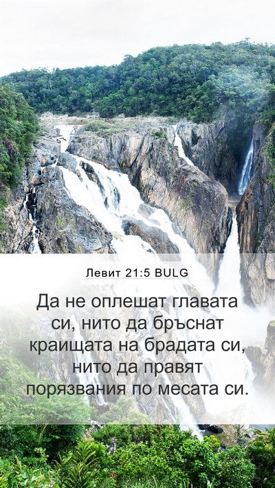 Левит 21:5 BULG Bible Verse Image