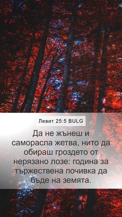 Левит 25:5 BULG Mobile Phone Wallpaper - Да не жънеш и саморасла - Mobile Bible Verse Wallpaper