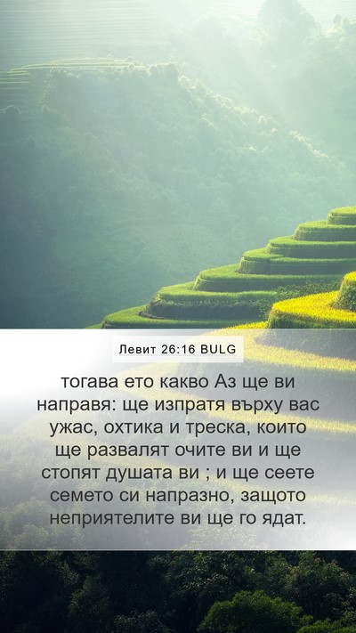 Левит 26:16 BULG Bible Verse Image