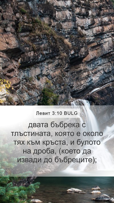 Левит 3:10 BULG Mobile Phone Wallpaper - двата бъбрека с - Mobile Bible Verse Wallpaper