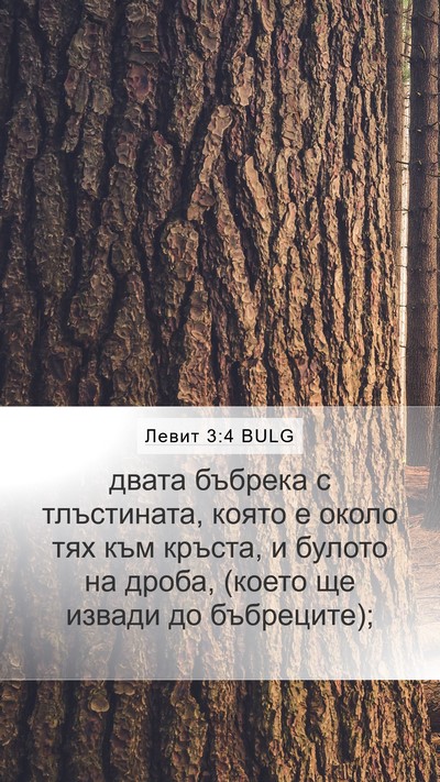 Левит 3:4 BULG Bible Verse Image