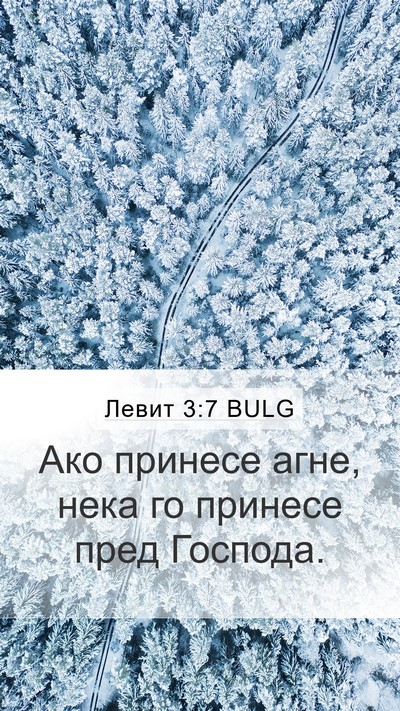 Левит 3:7 BULG Mobile Phone Wallpaper - Ако принесе агне, нека го - Mobile Bible Verse Wallpaper