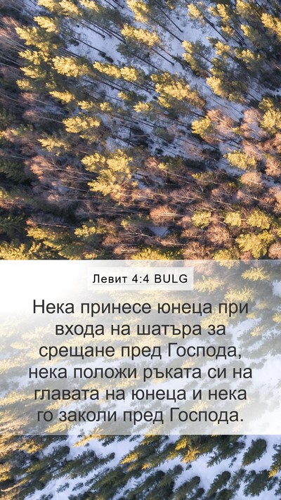 Левит 4:4 BULG Mobile Phone Wallpaper - Нека принесе юнеца при - Mobile Bible Verse Wallpaper