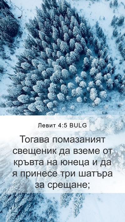 Левит 4:5 BULG Mobile Phone Wallpaper - Тогава помазаният - Mobile Bible Verse Wallpaper