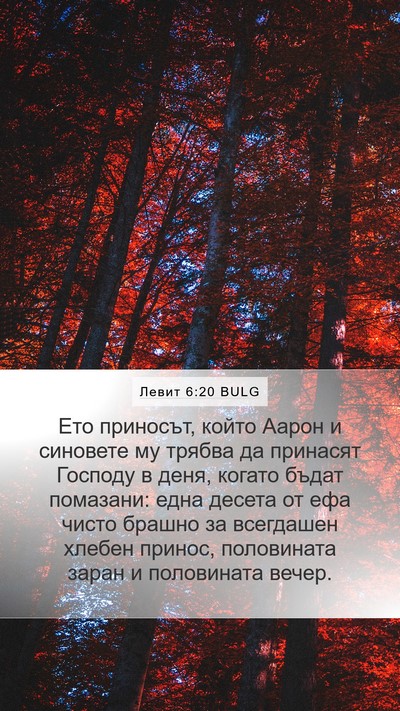 Левит 6:20 BULG Bible Verse Image