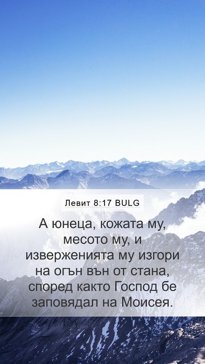 Левит 8:17 BULG Bible Verse Image