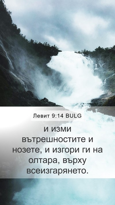 Левит 9:14 BULG Mobile Phone Wallpaper - и изми вътрешностите и - Mobile Bible Verse Wallpaper