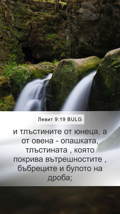 Левит 9:19 BULG Bible Verse Image