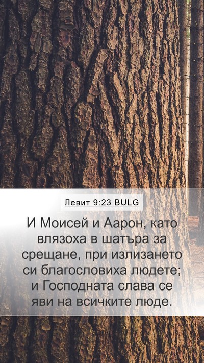Левит 9:23 BULG Bible Verse Image