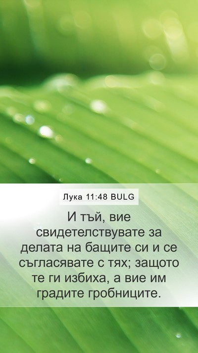 Лука 11:48 BULG Bible Verse Image