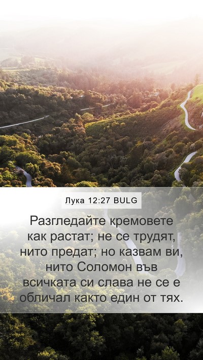 Лука 12:27 BULG Bible Verse Image