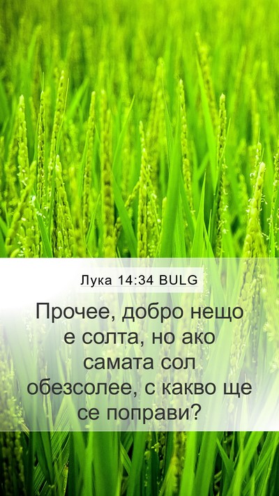 Лука 14:34 BULG Bible Verse Image