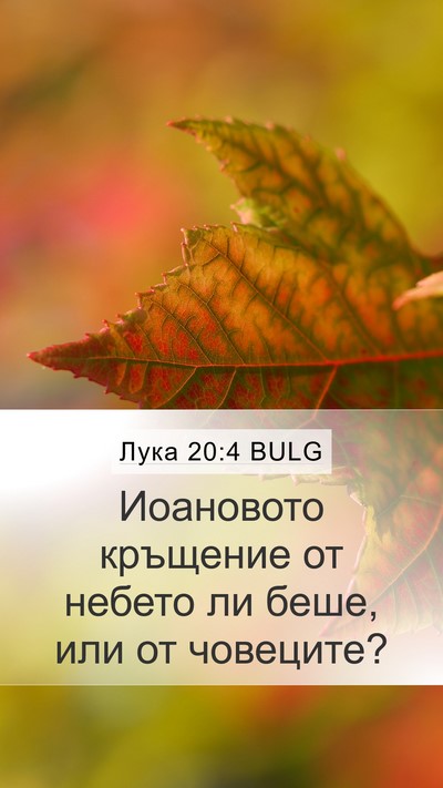 Лука 20:4 BULG Mobile Phone Wallpaper - Иоановото кръщение от - Mobile Bible Verse Wallpaper