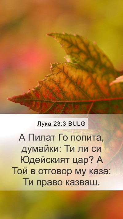 Лука 23:3 BULG Mobile Phone Wallpaper - А Пилат Го попита, думайки: - Mobile Bible Verse Wallpaper