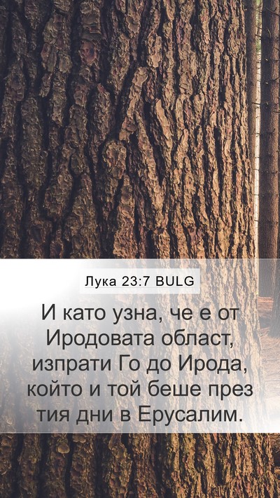Лука 23:7 BULG Bible Verse Image