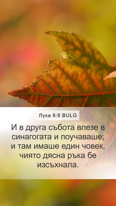 Лука 6:6 BULG Bible Verse Image