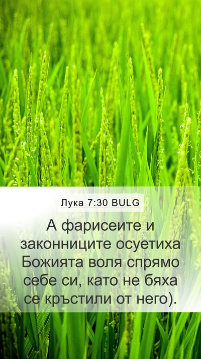 Лука 7:30 BULG Bible Verse Image