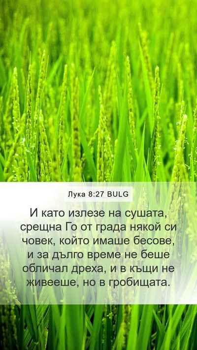 Лука 8:27 BULG Bible Verse Image
